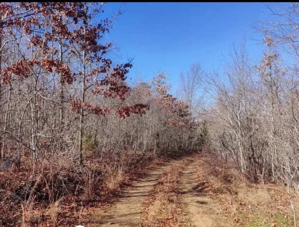 16 - Acres in Bunker MO featured image
