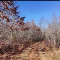 16 - Acres in Bunker MO