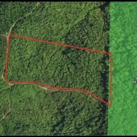 16 - Acres in Bunker MO images 2