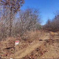16 - Acres in Bunker MO images 4