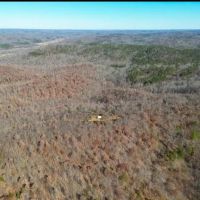 16 - Acres in Bunker MO images 5