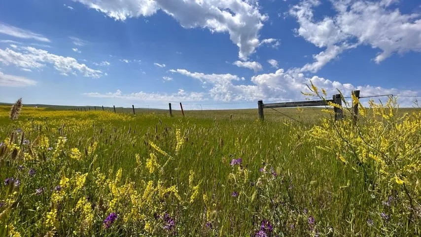 Moorcroft Acreage featured image