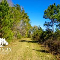 Ritter Salkehatchie images 2