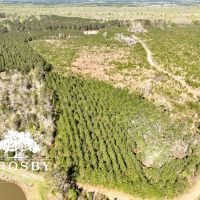 Ritter Salkehatchie images 3