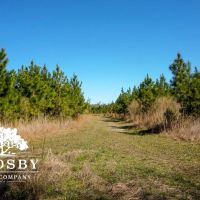 Ritter Salkehatchie images 5