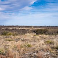 Fallow Tail Ranch images 2