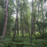 Agate Beach Subdivision images 2