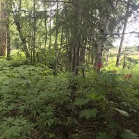 Agate Beach Subdivision images 3