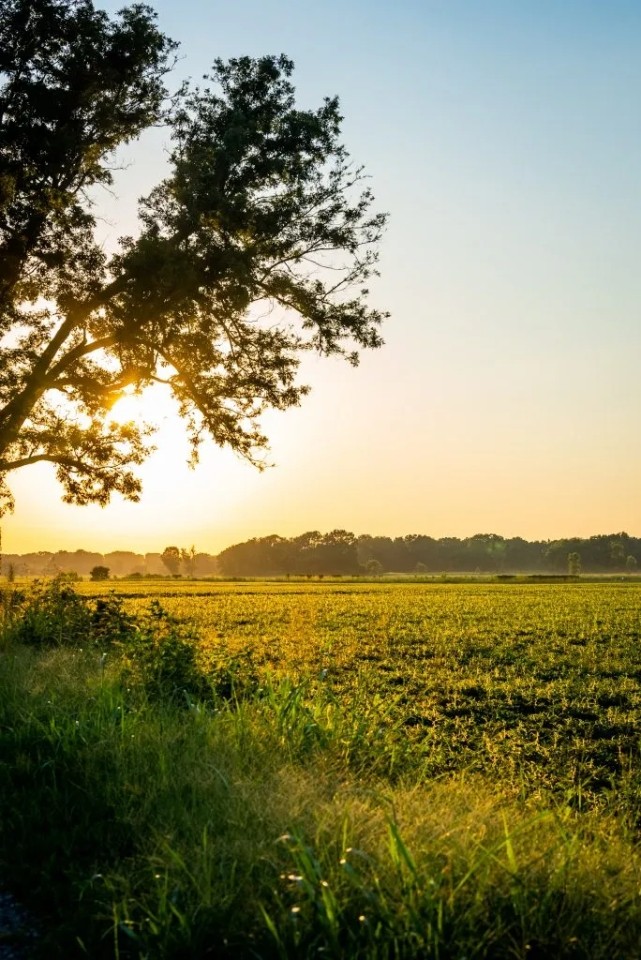 Lollie Bottom Farm featured image