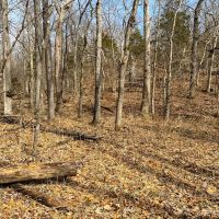121 - Ac. Old Williamsburg Rd. CR 1033 images 4