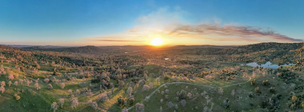 Love Ranch featured image