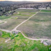Love Ranch images 5
