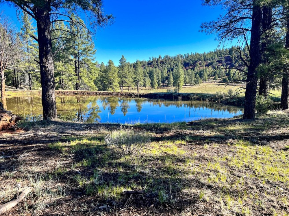 Bluewater Creek Ranch featured image