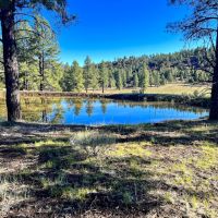Bluewater Creek Ranch