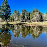 Bluewater Creek Ranch images 4