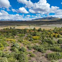 Placerville Ranch images 3