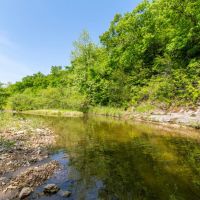 Beautiful 259 Acre Recreational Farm for Sale - Pike County images 4
