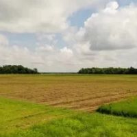 Lee County 44 images 1