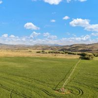 Four S Land Cattle images 3