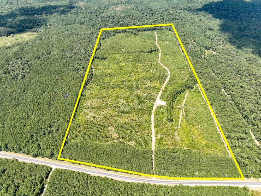 116 Acres FM 943 featured image