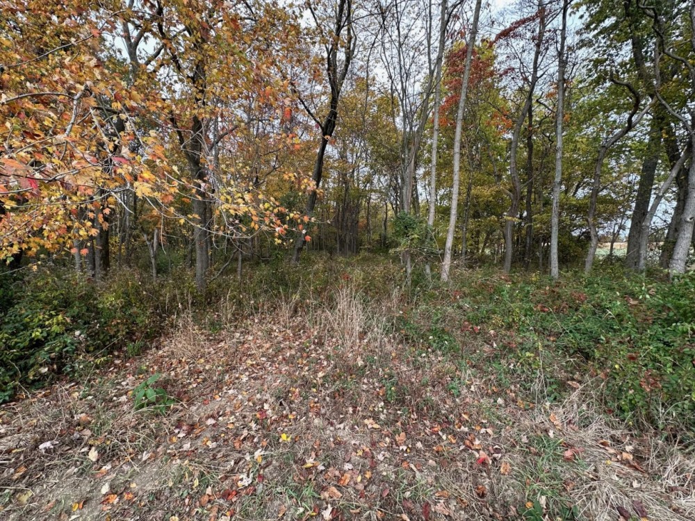 000 E Freesia Road Mt.Vernon IL featured image