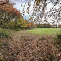 000 E Freesia Road Mt.Vernon IL images 2
