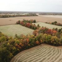 000 E Freesia Road Mt.Vernon IL images 5