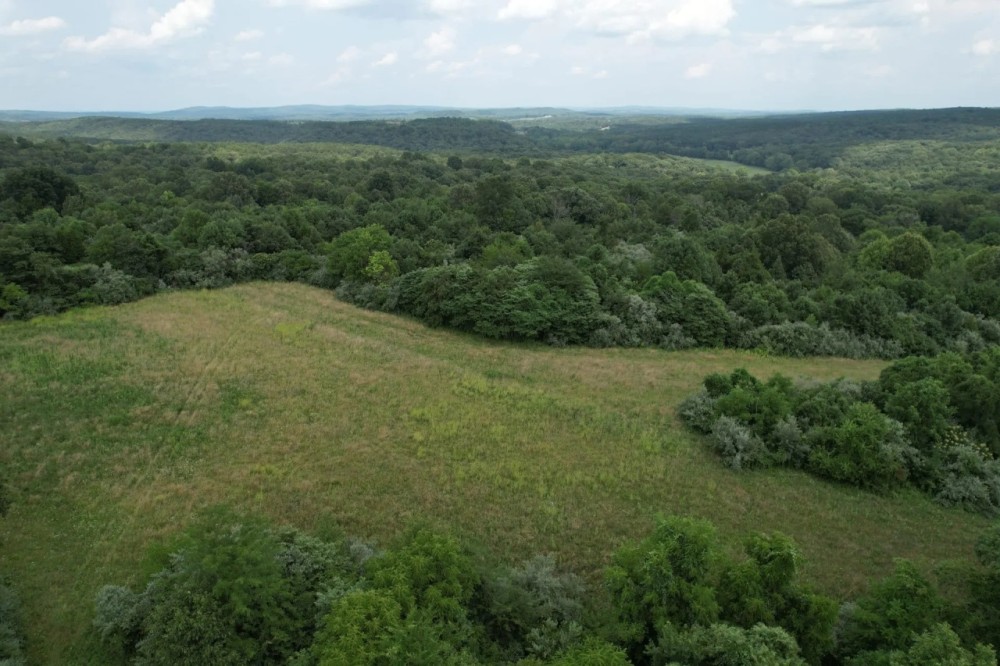 00 Gape Hollow Road Herod IL 62947 featured image