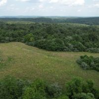 00 Gape Hollow Road Herod IL 62947