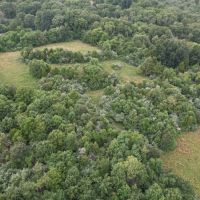 00 Gape Hollow Road Herod IL 62947 images 4