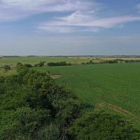 Diverse 147 Acre Southern Osage County Kansas Tract for Sale images 4