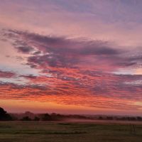 3521 Bryant Rd. in Schulenburg Texas images 1