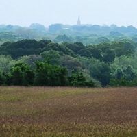 3521 Bryant Rd. in Schulenburg Texas images 3