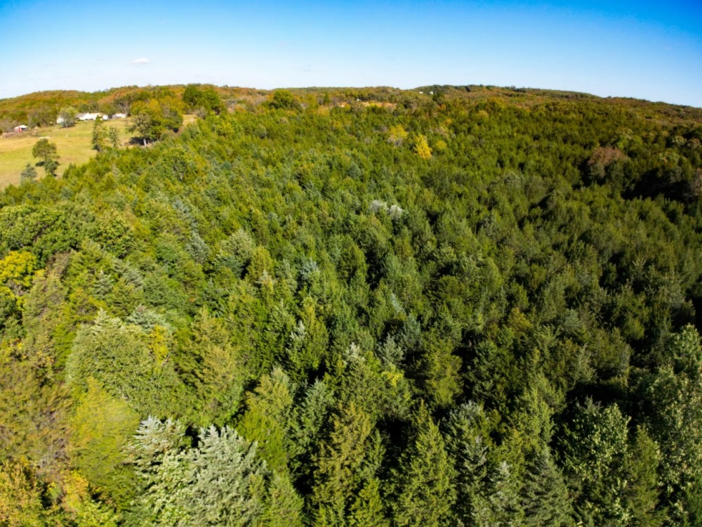 Missouri Land For Sale At Auction featured image