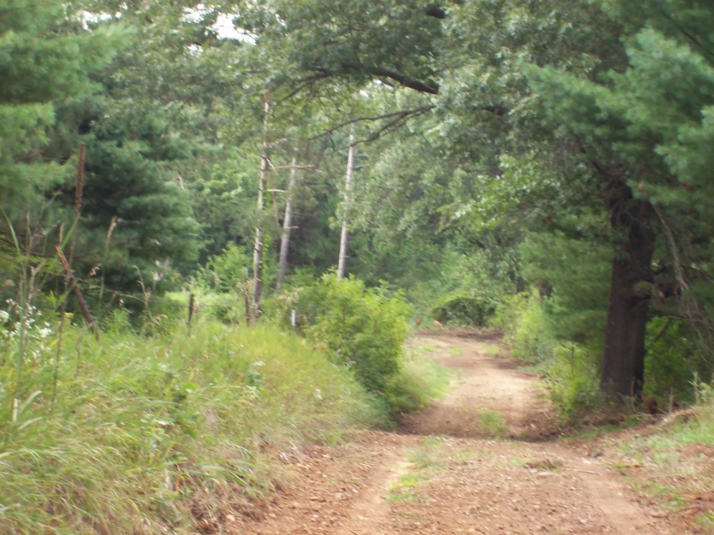 Marquette County Wisconsin Recreational Land for Sale featured image