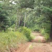 Marquette County Wisconsin Recreational Land for Sale