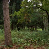 Marquette County Wisconsin Recreational Land for Sale images 5
