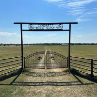 185 Acres Of Beautiful Recreational or Residential lots Split Opportunity