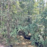 128 Acres in Wayne County MS images 2