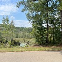 10.5 Acres in Perry County MS images 2