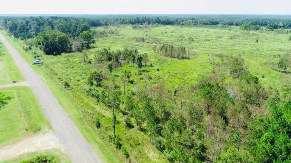 Dooly Longleaf featured image