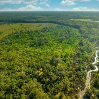 Sapelo River Tract