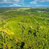 Sapelo River Tract images 4