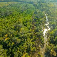 Sapelo River Tract images 5