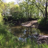 Img 0632