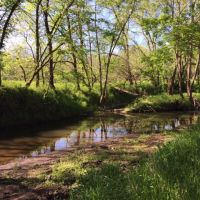 Henry County, Missouri. Great Hunting Acreage