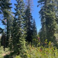 Red Mountain Basin images 4