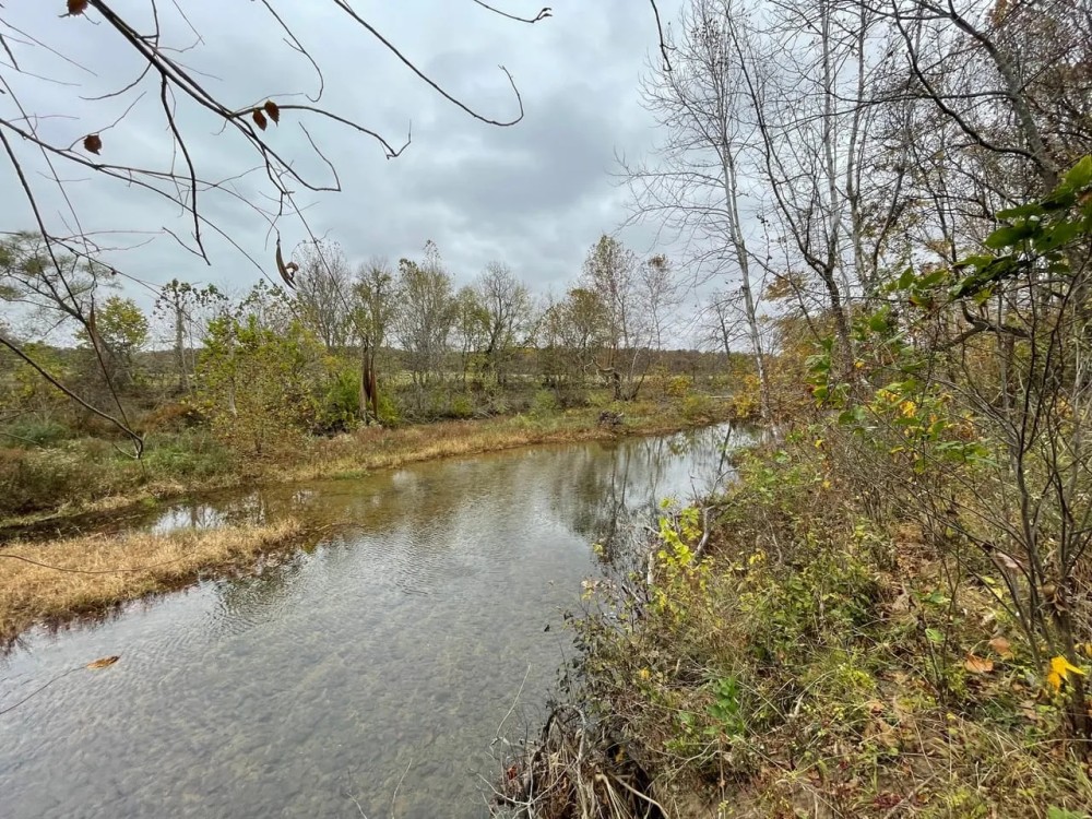 Camden County 87 Acres Hunters Paradise Hunting Land for Sale