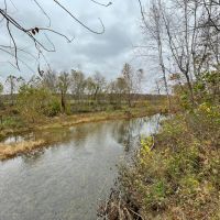 Camden County 87 Acres Hunters Paradise