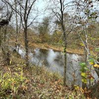 Camden County 87 Acres Hunters Paradise images 2